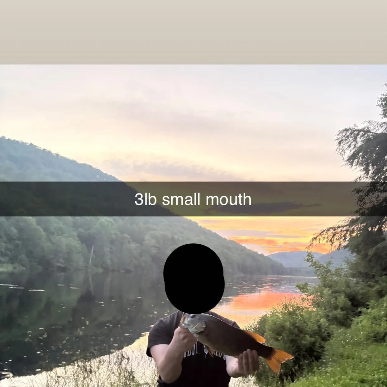 Fish caught on Fishbrain