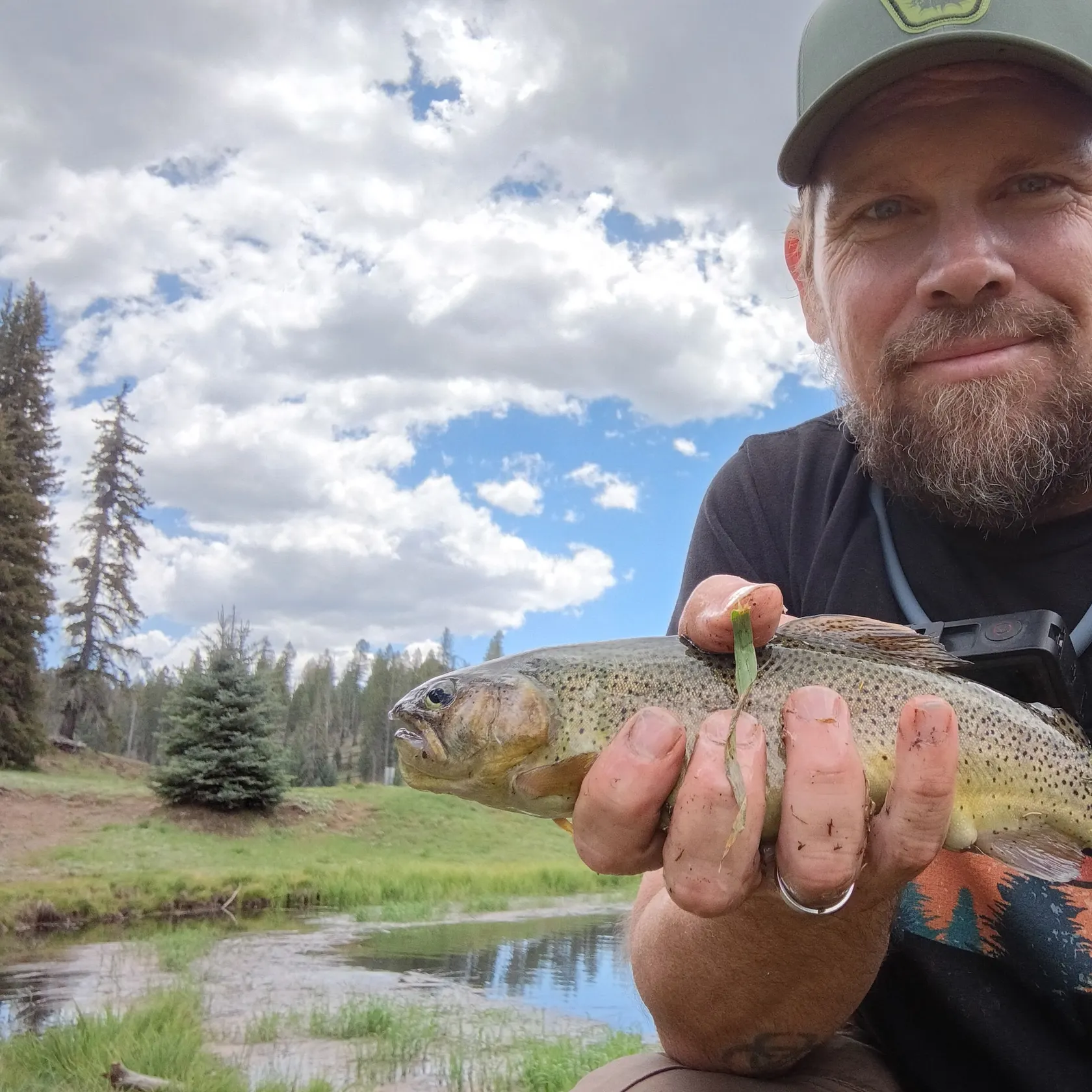The most recent Apache trout catches on Fishbrain