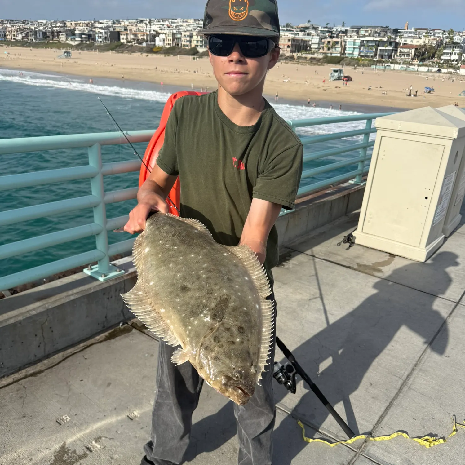 California halibut caught on Fishbrain