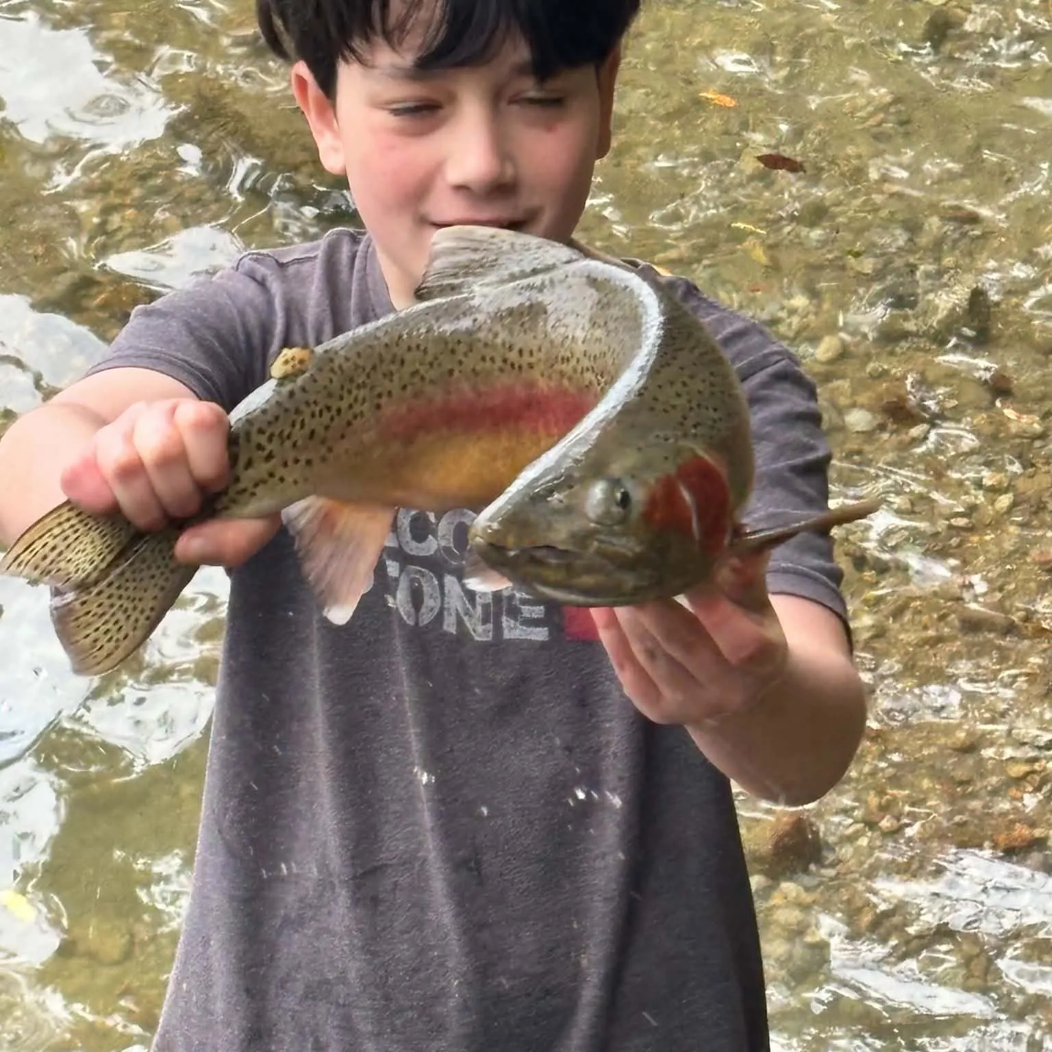 Rainbow trout caught on Fishbrain