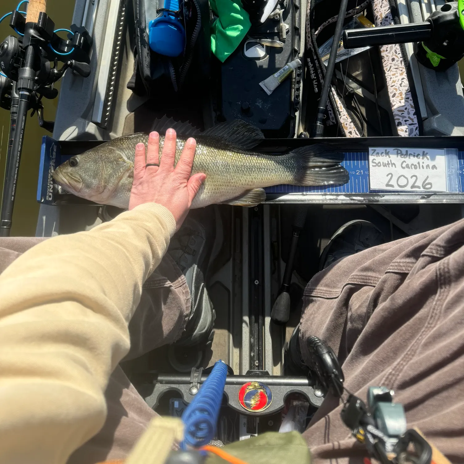 recently logged catches