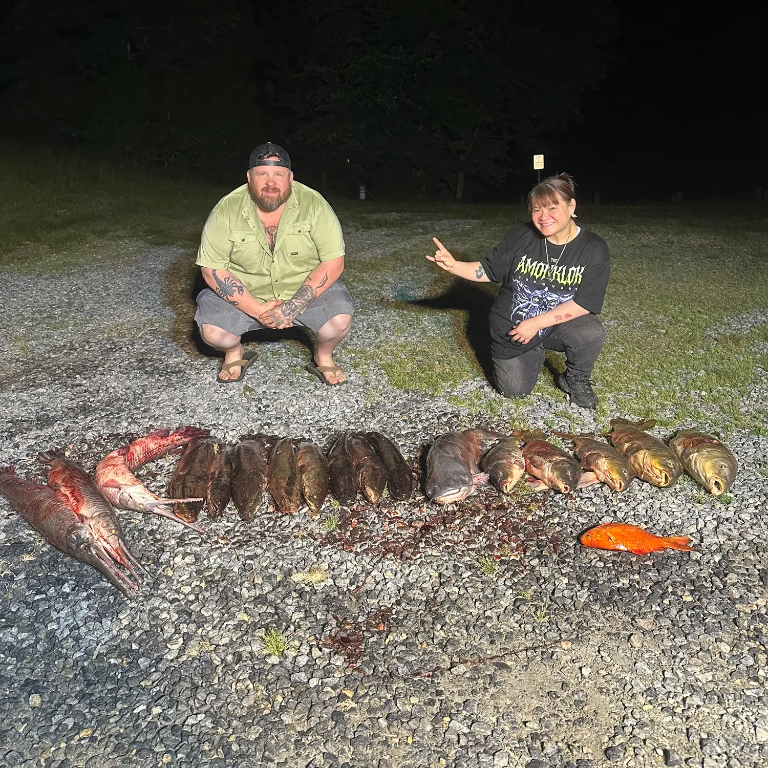 recently logged catches