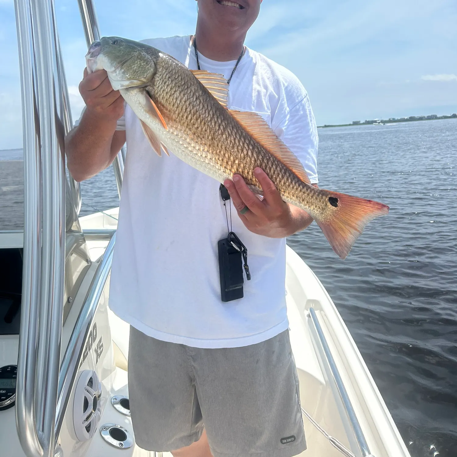 The most recent Red drum catches on Fishbrain