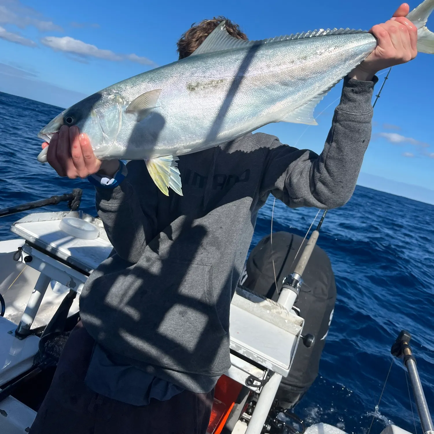 The most recent Southern yellowtail amberjack catches on Fishbrain