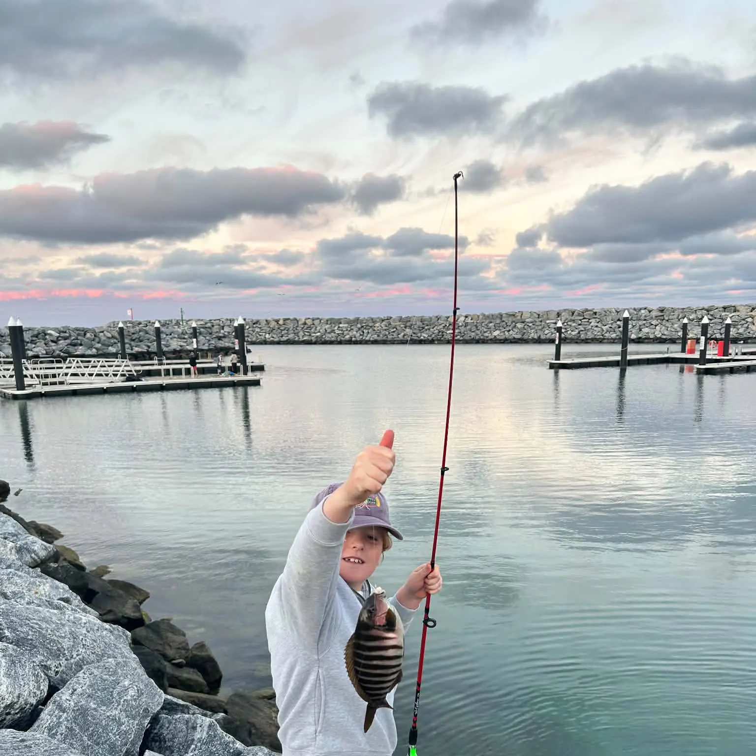 Zebra fish caught on Fishbrain