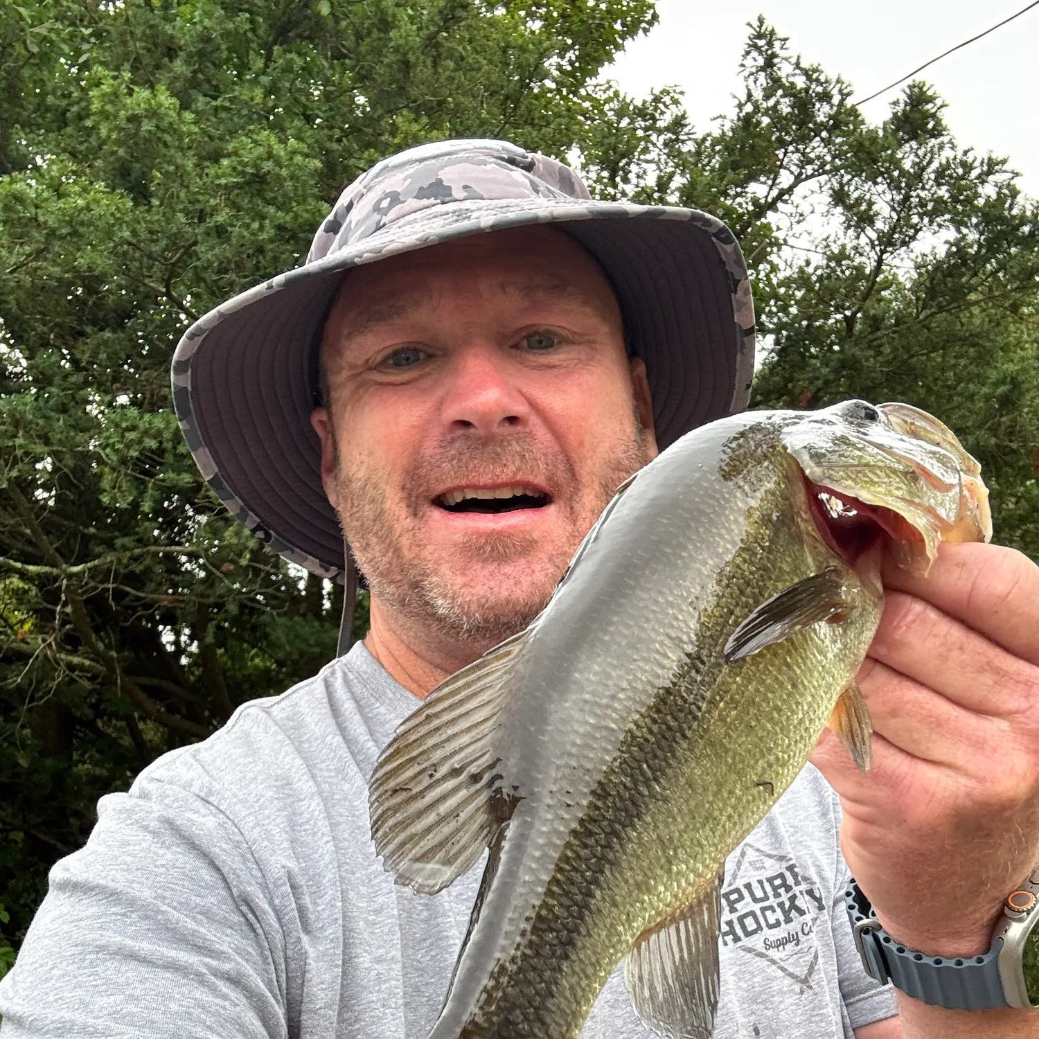 Largemouth bass caught on Fishbrain