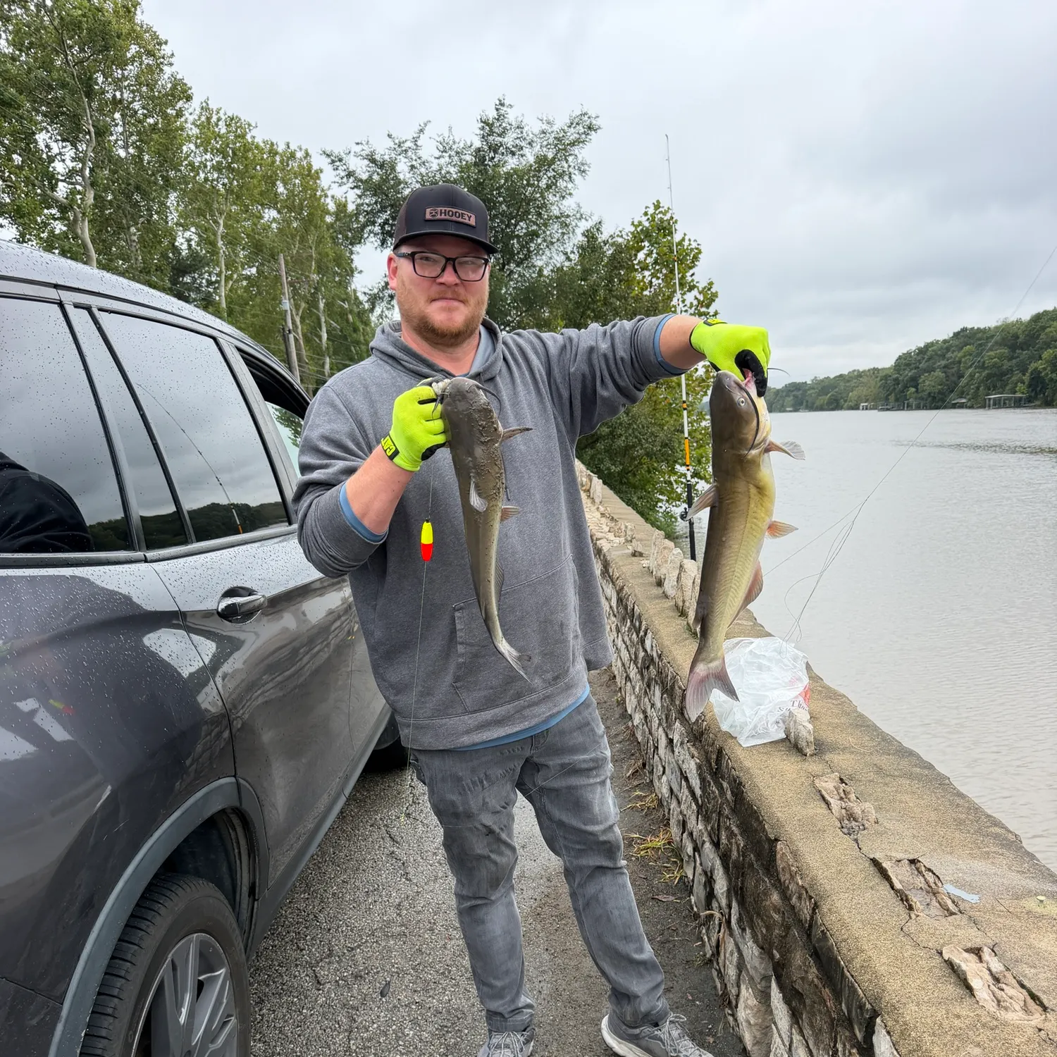 Channel catfish caught on Fishbrain