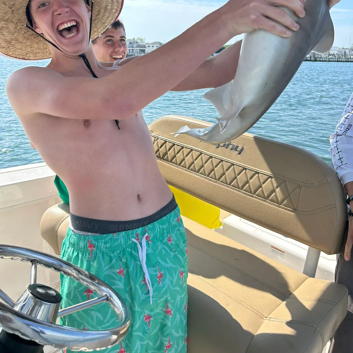 The most recent Milk shark catches on Fishbrain