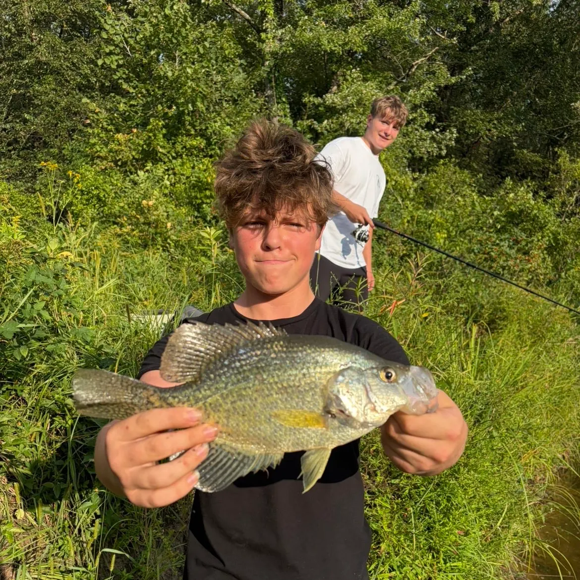 Black crappie caught on Fishbrain