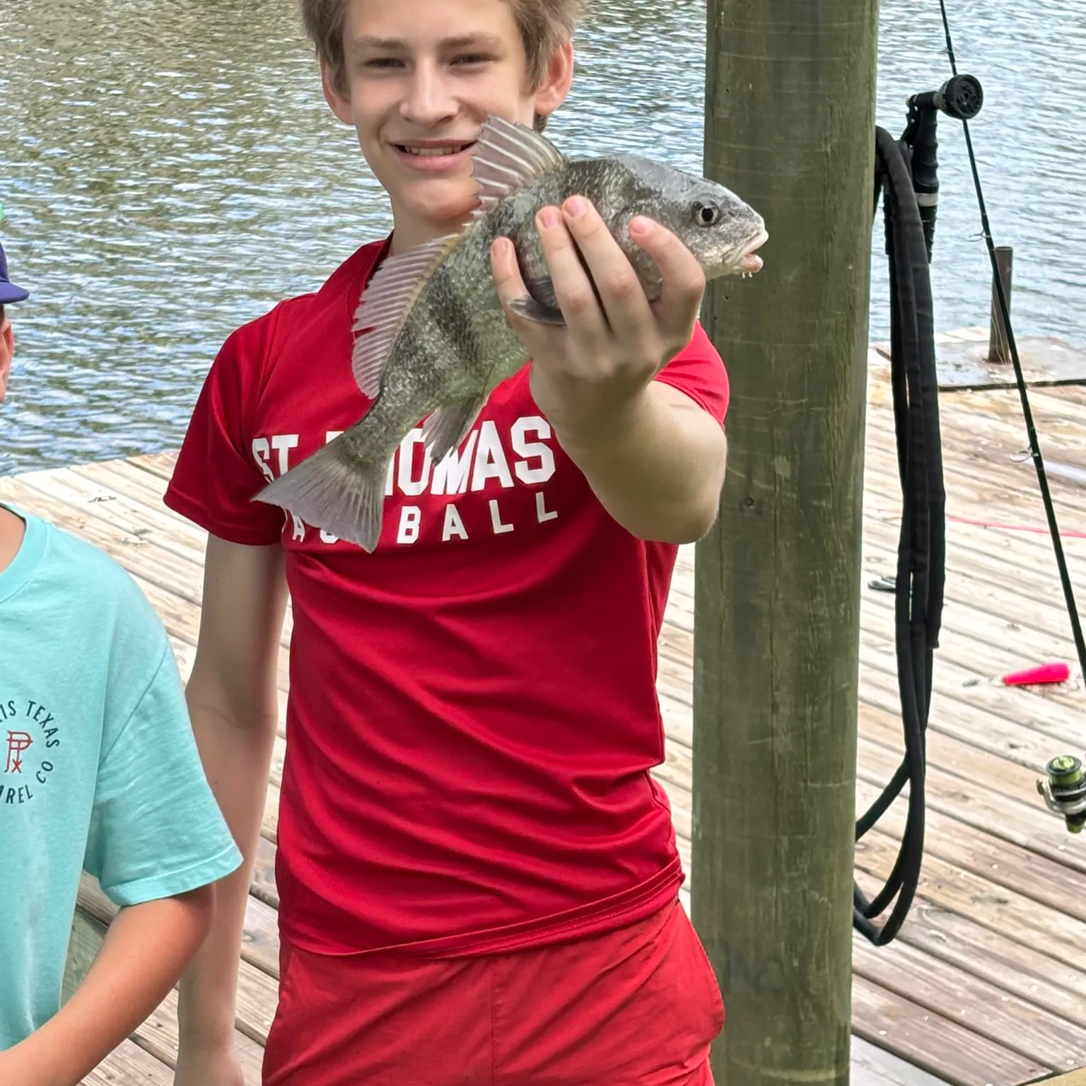 The most recent Black drum catches on Fishbrain