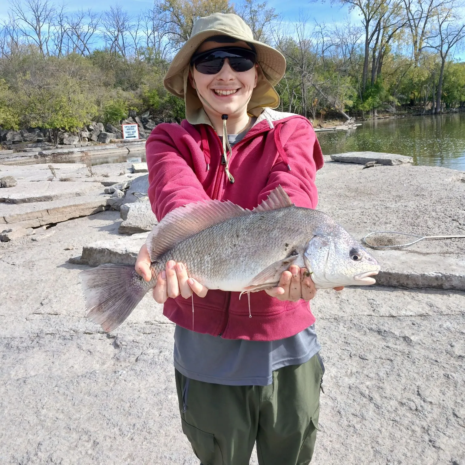 Freshwater drum caught on Fishbrain