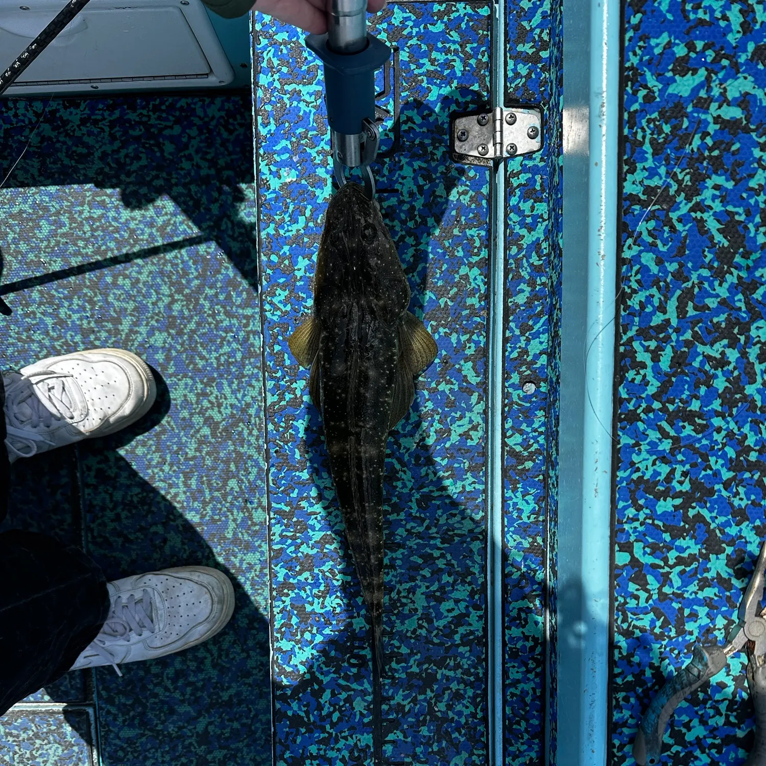 Dusky flathead caught on Fishbrain
