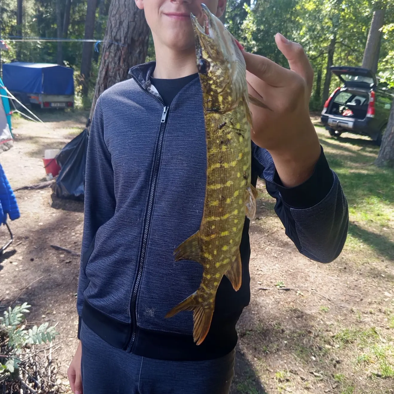 Northern pike caught on Fishbrain