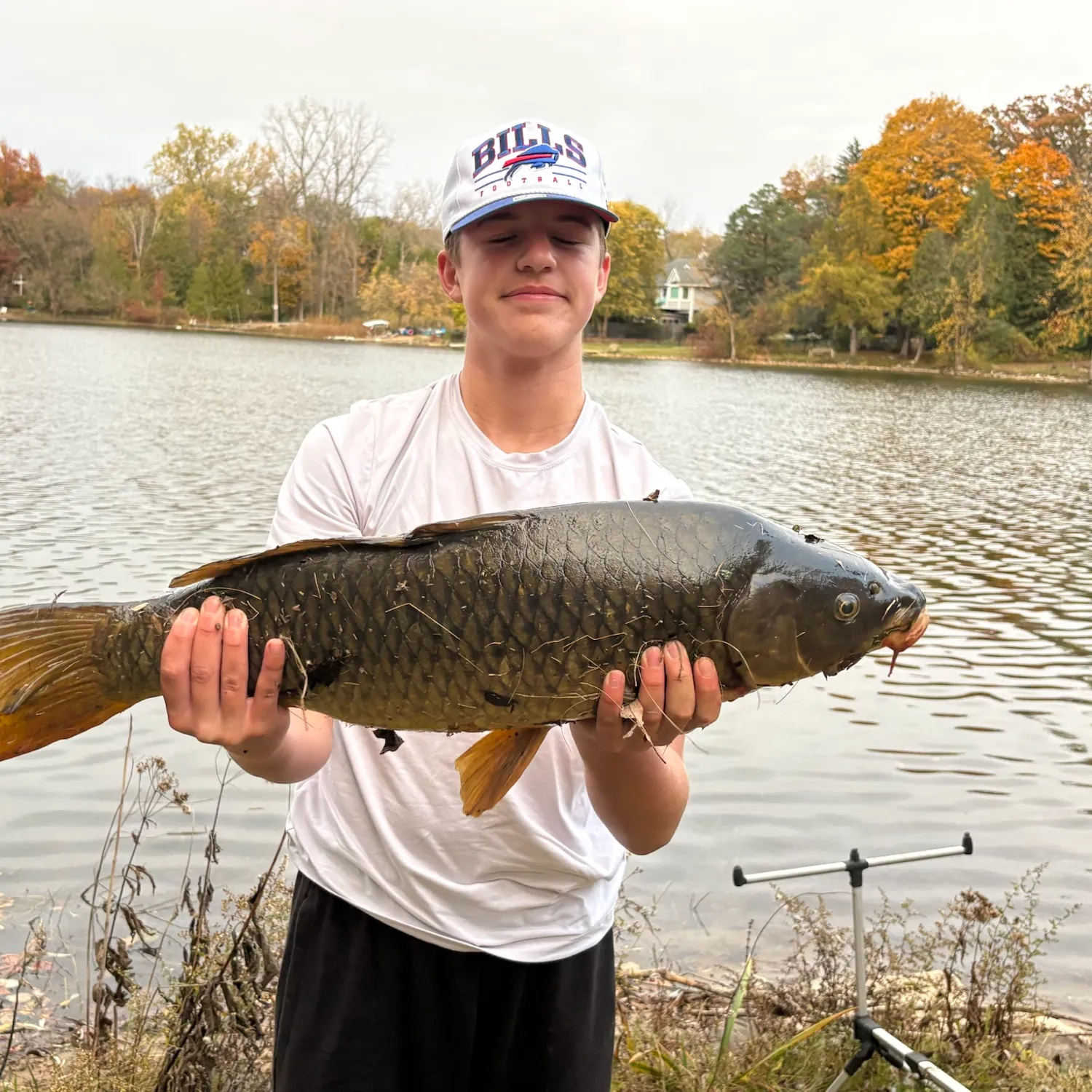 Common carp caught on Fishbrain