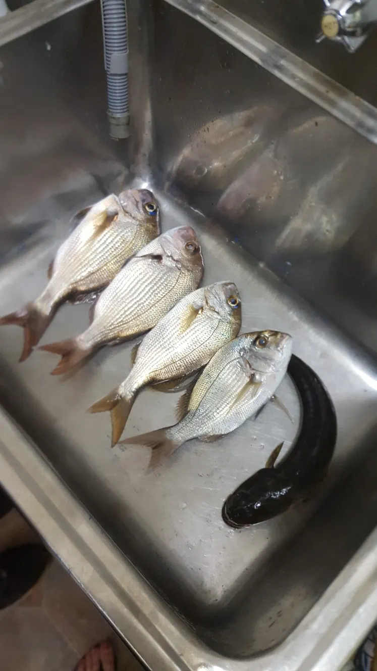 Post image from danadanalee