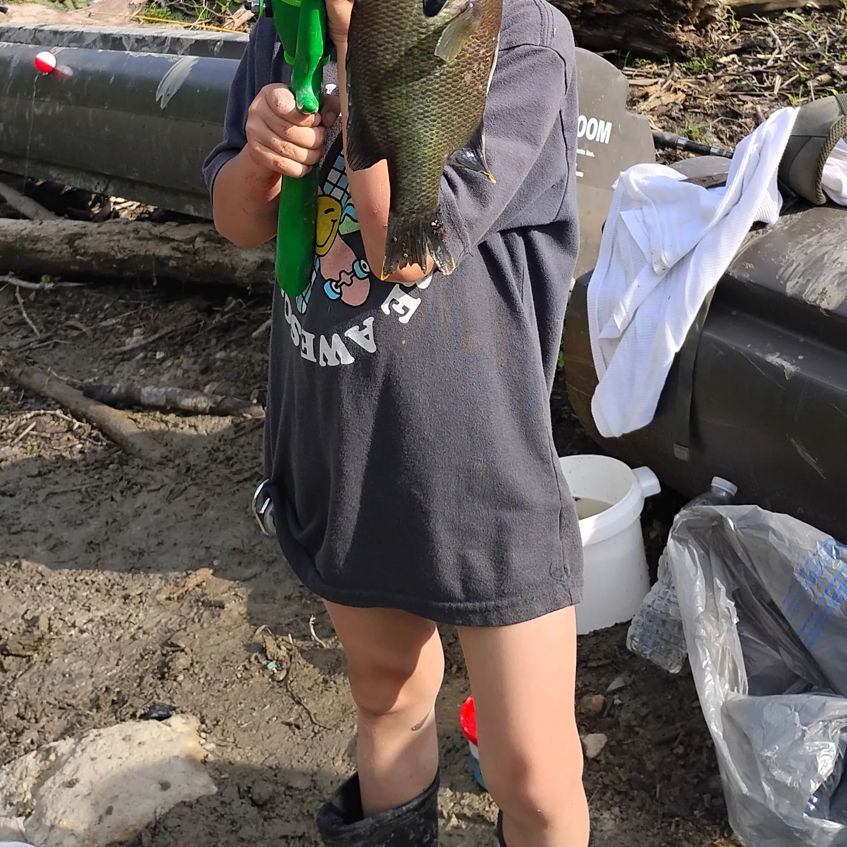 Bluegill caught on Fishbrain