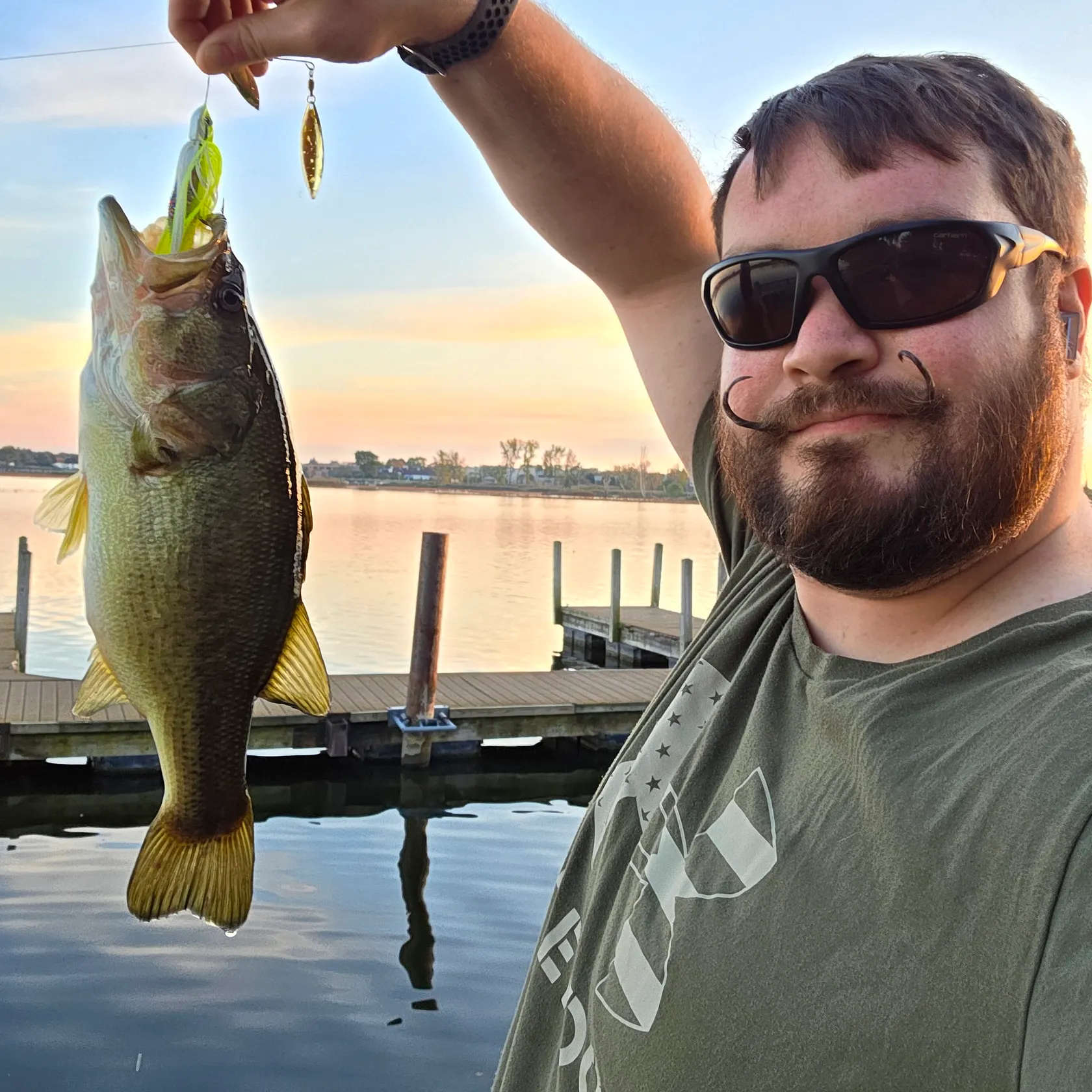 Largemouth bass caught on Fishbrain