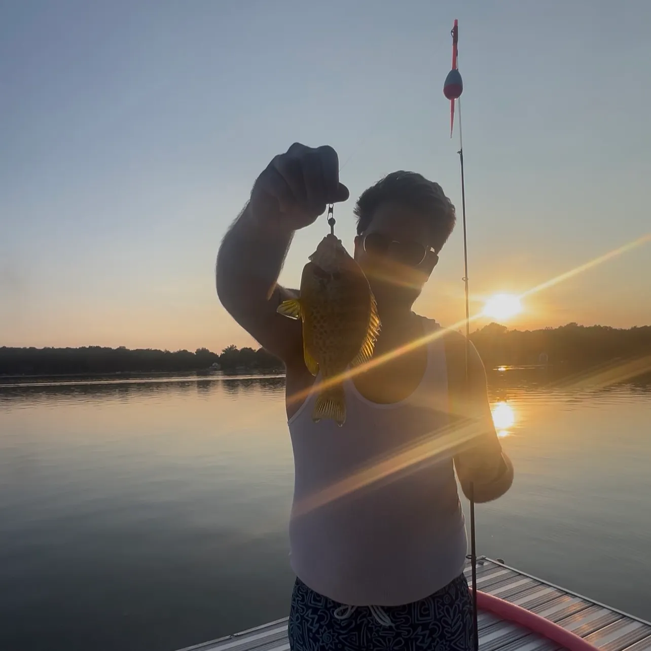 Pumpkinseed caught on Fishbrain
