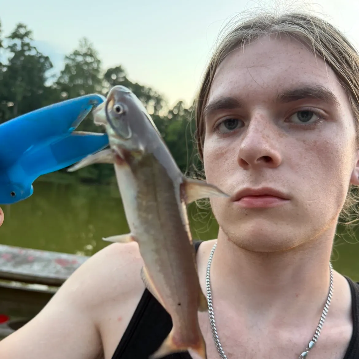Channel catfish caught on Fishbrain