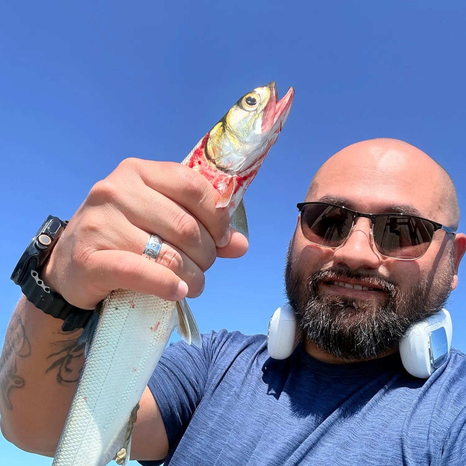 Ladyfish caught on Fishbrain