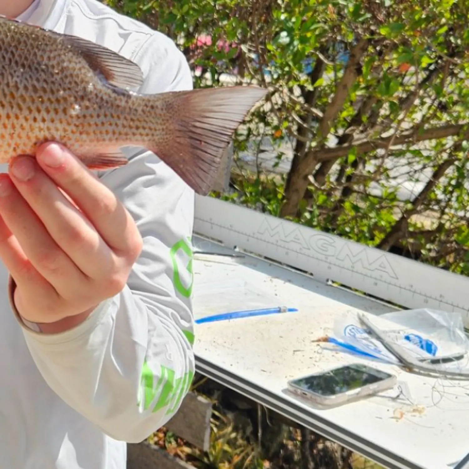 recently logged catches