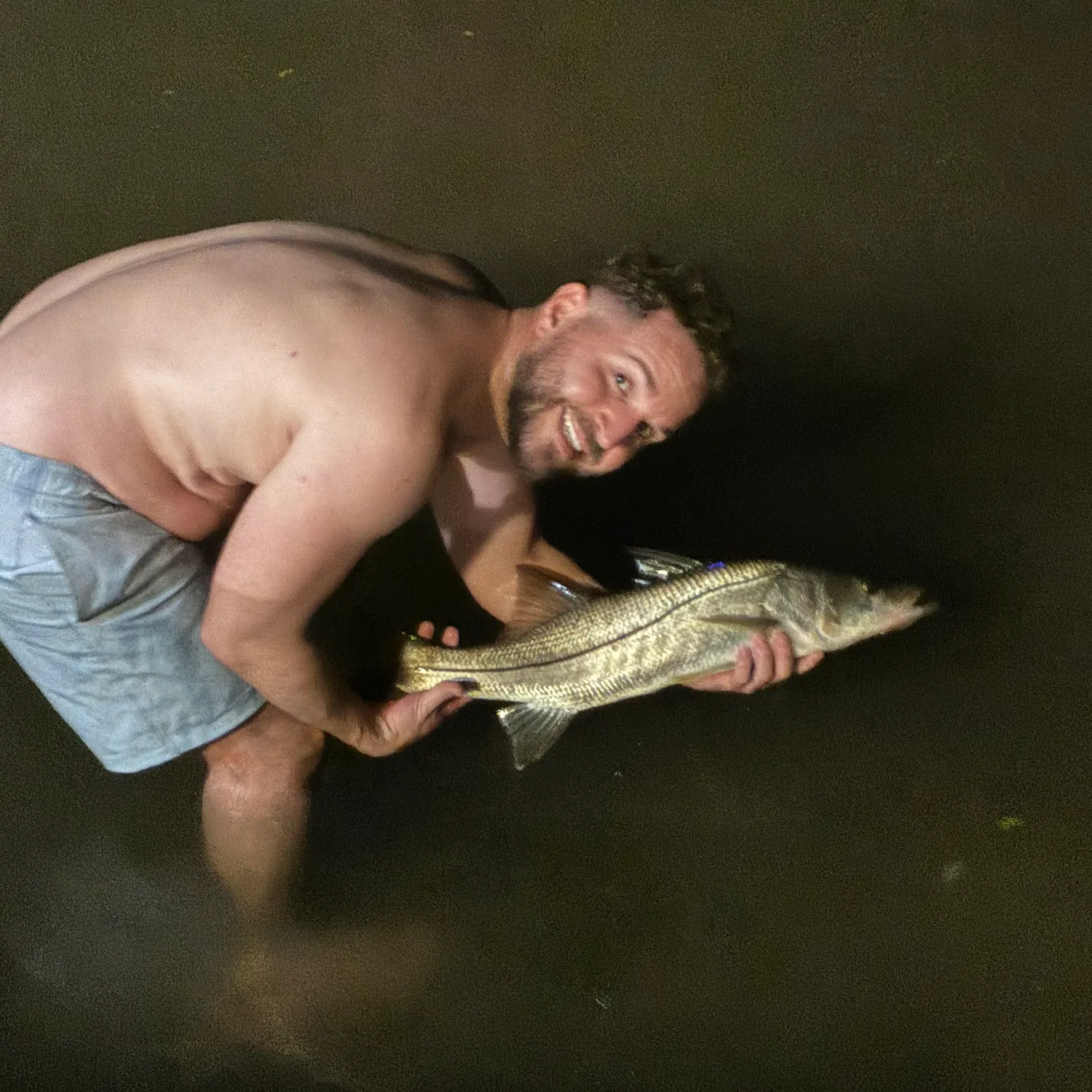 Common snook caught on Fishbrain