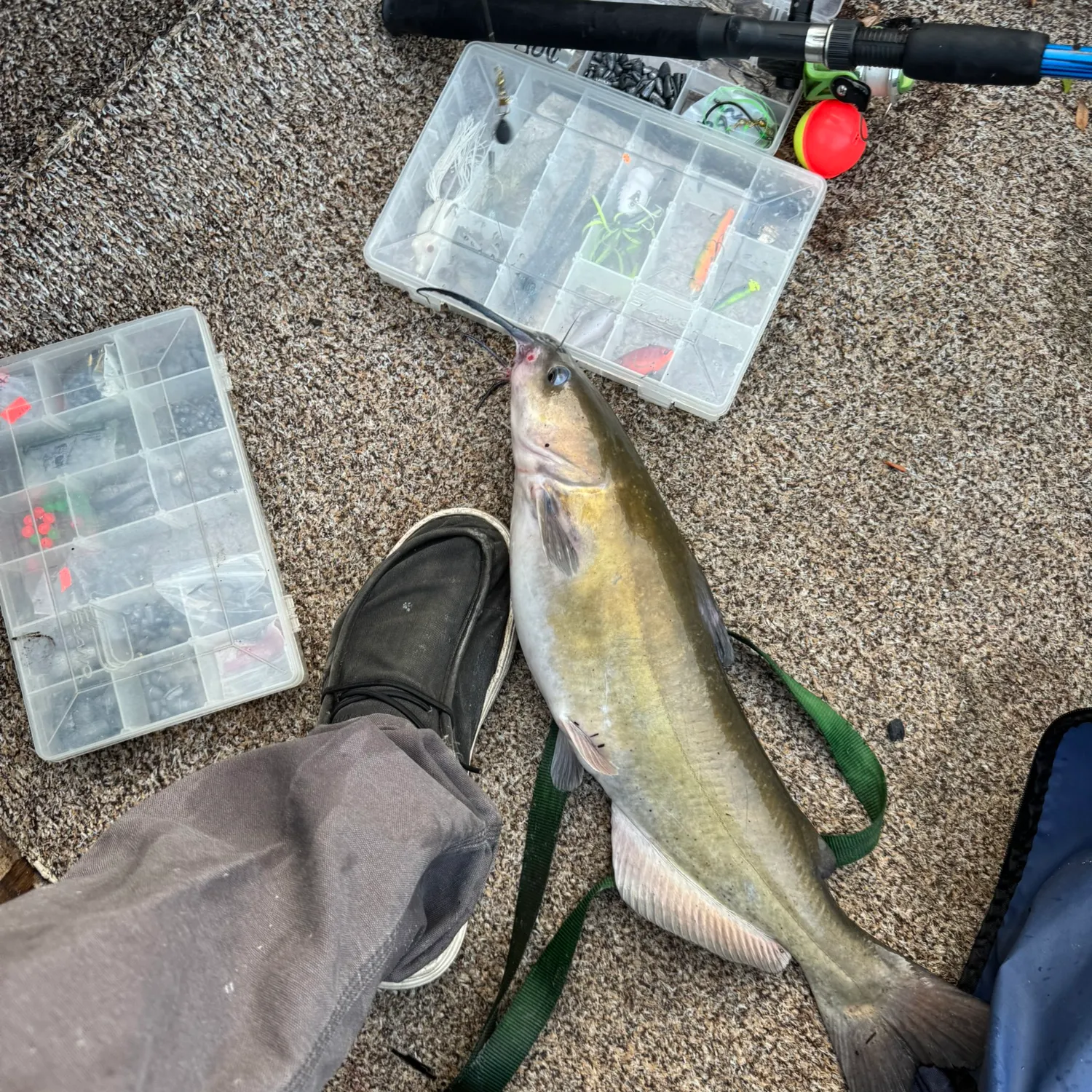 catch