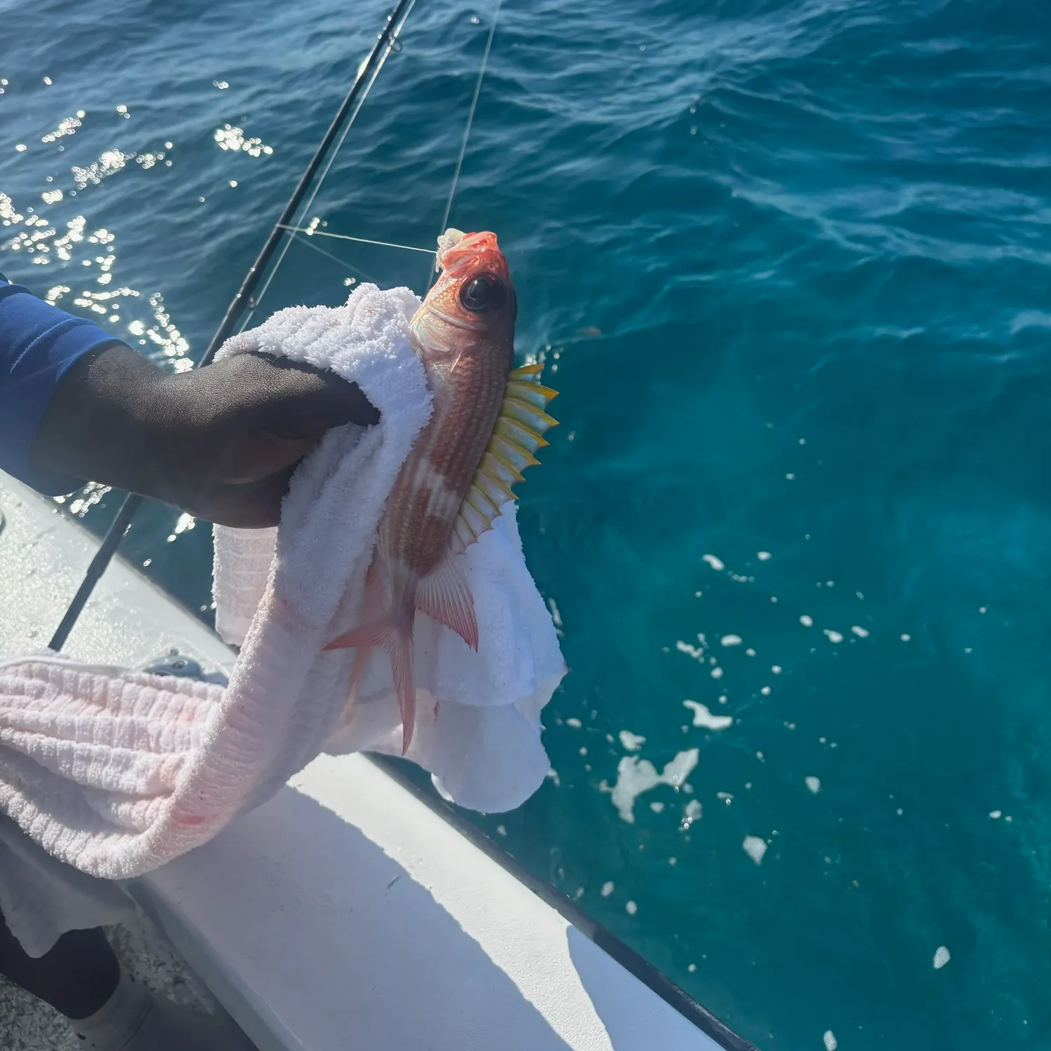 The most recent Hawaiian squirrelfish catches on Fishbrain