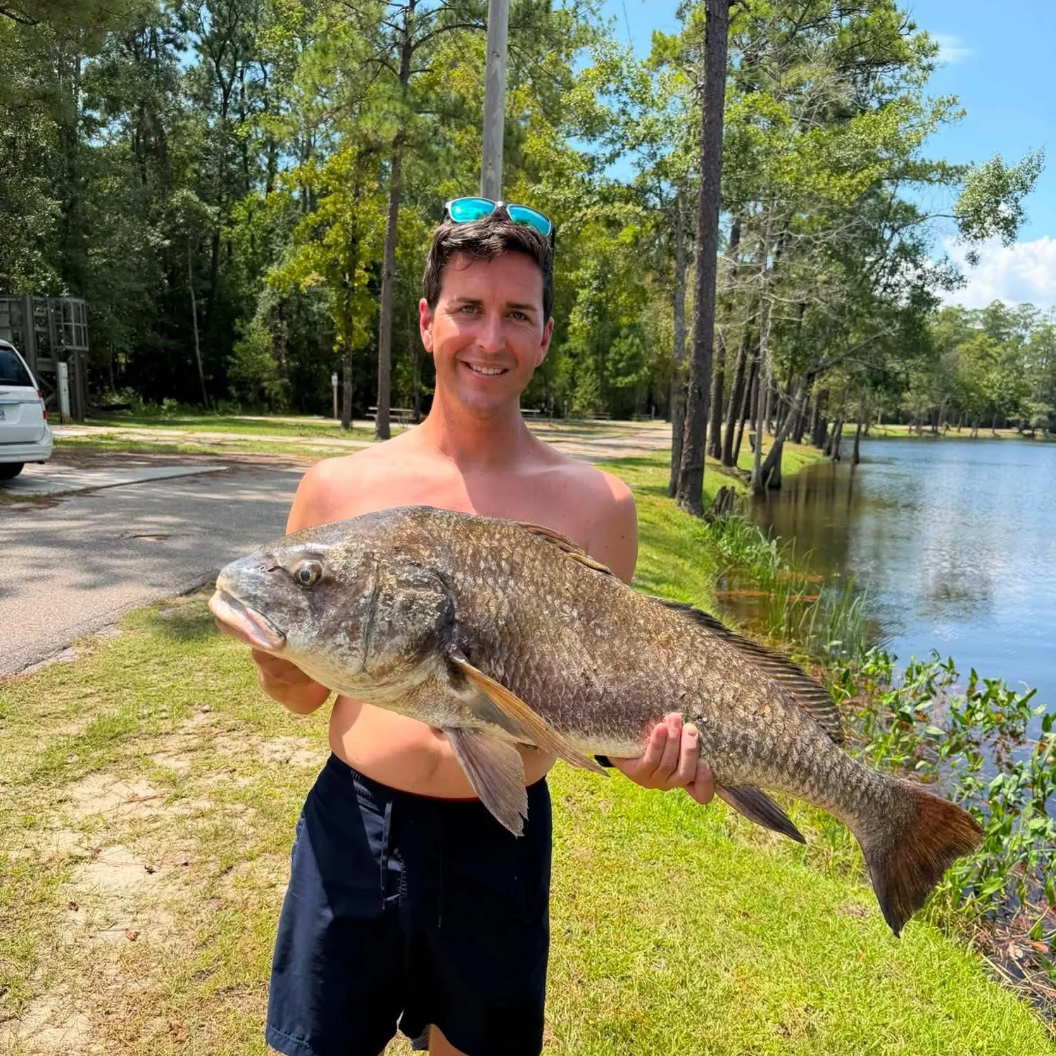 Black drum caught on Fishbrain