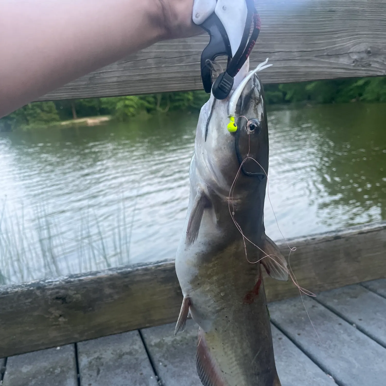 catch