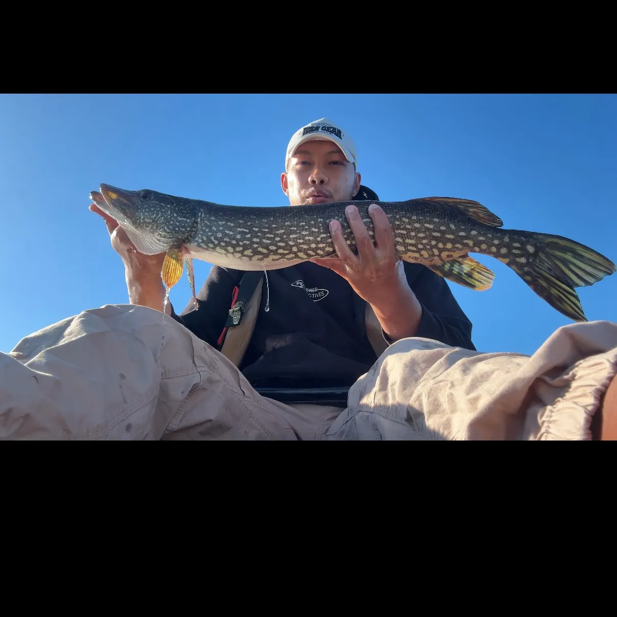 Northern pike caught on Fishbrain