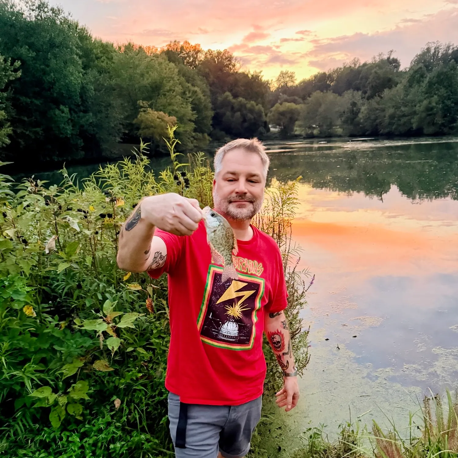 Black crappie caught on Fishbrain