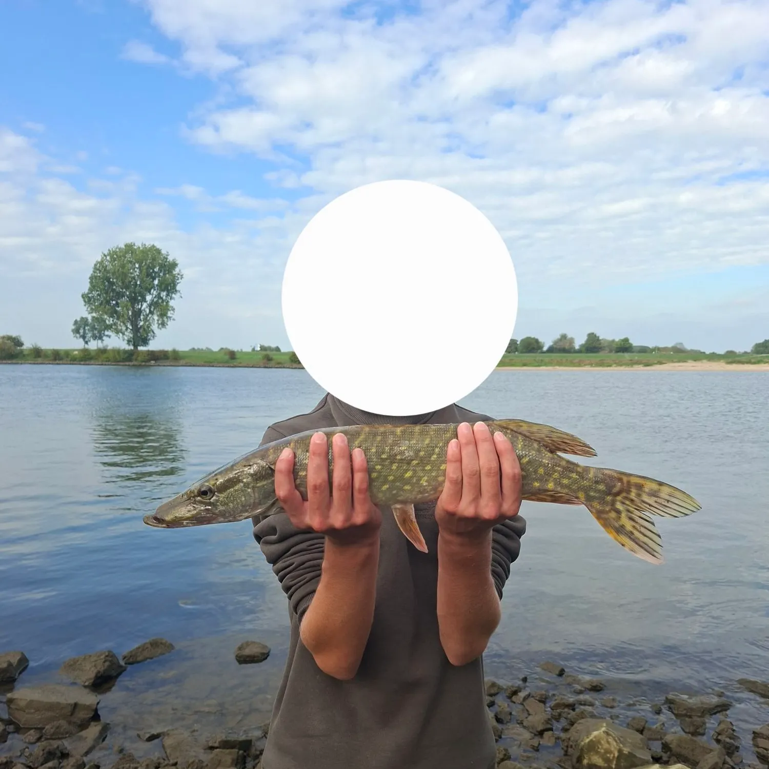 Northern pike caught on Fishbrain