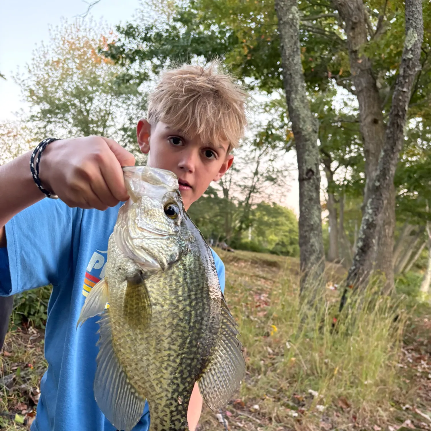 Black crappie caught on Fishbrain