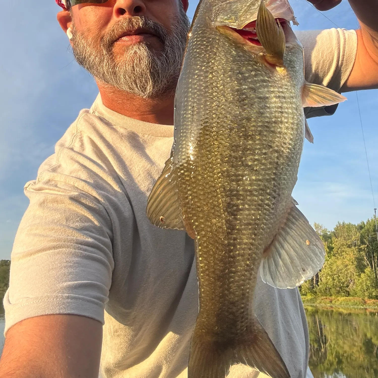 Largemouth bass caught on Fishbrain