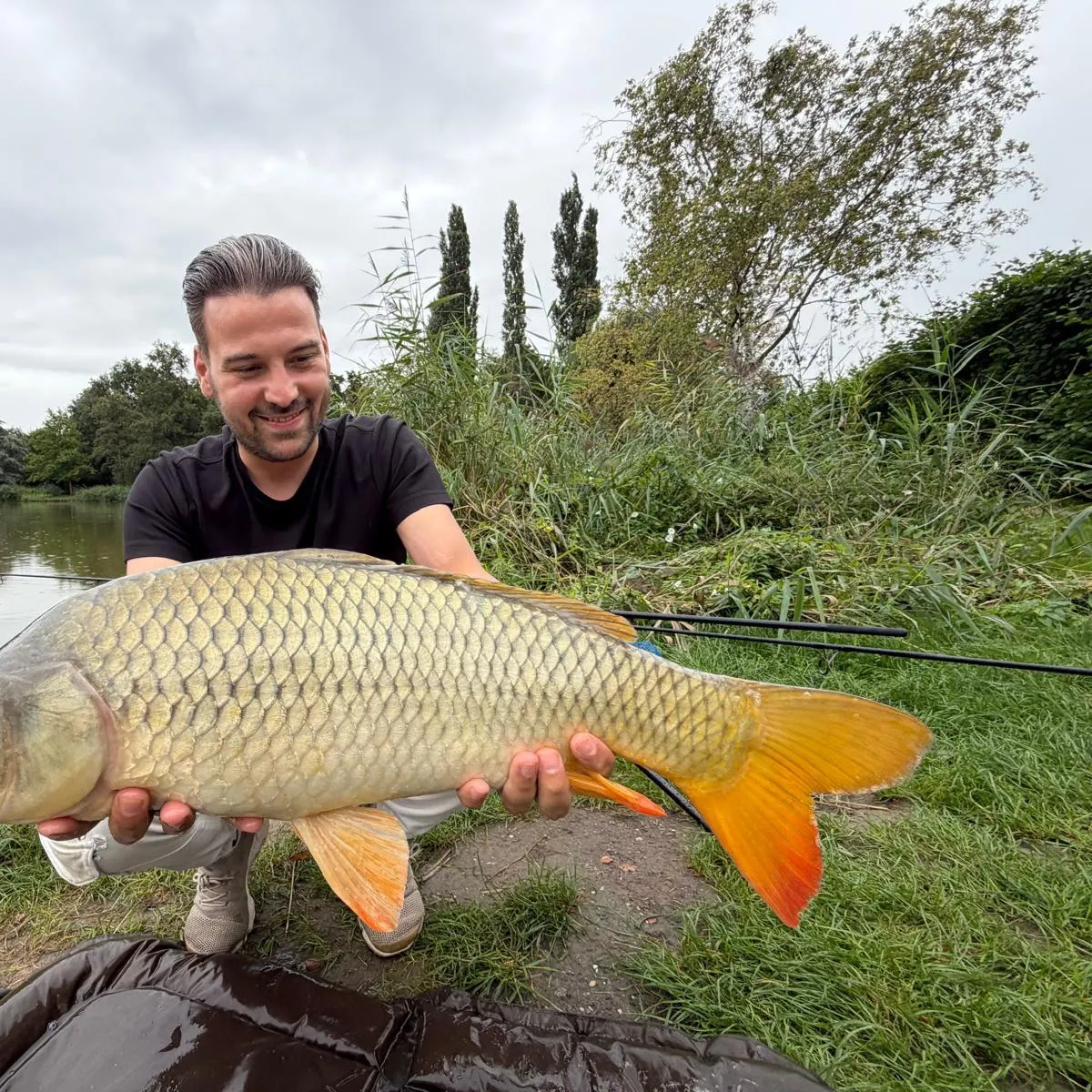 Common carp caught on Fishbrain