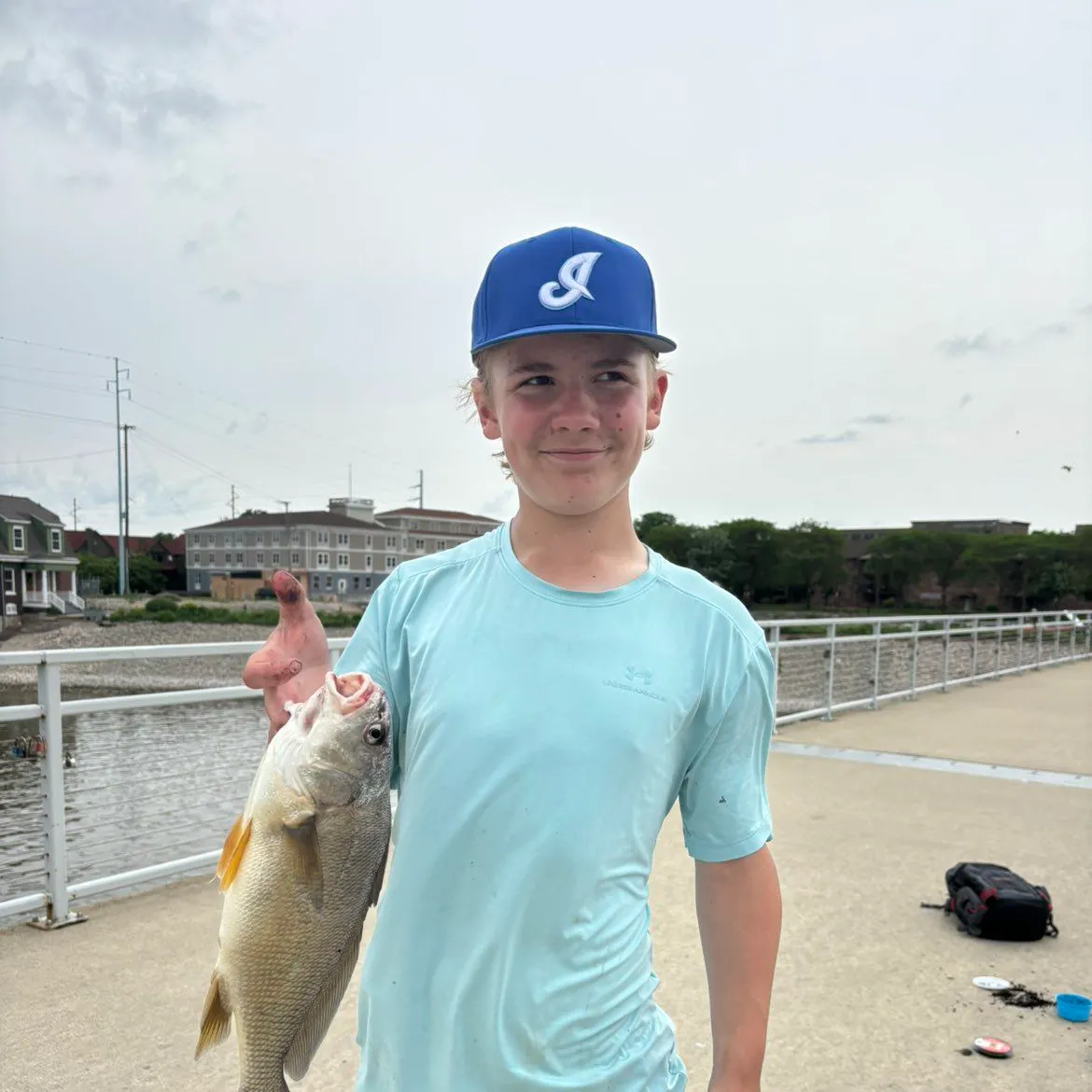 The most recent Japanese meagre catches on Fishbrain