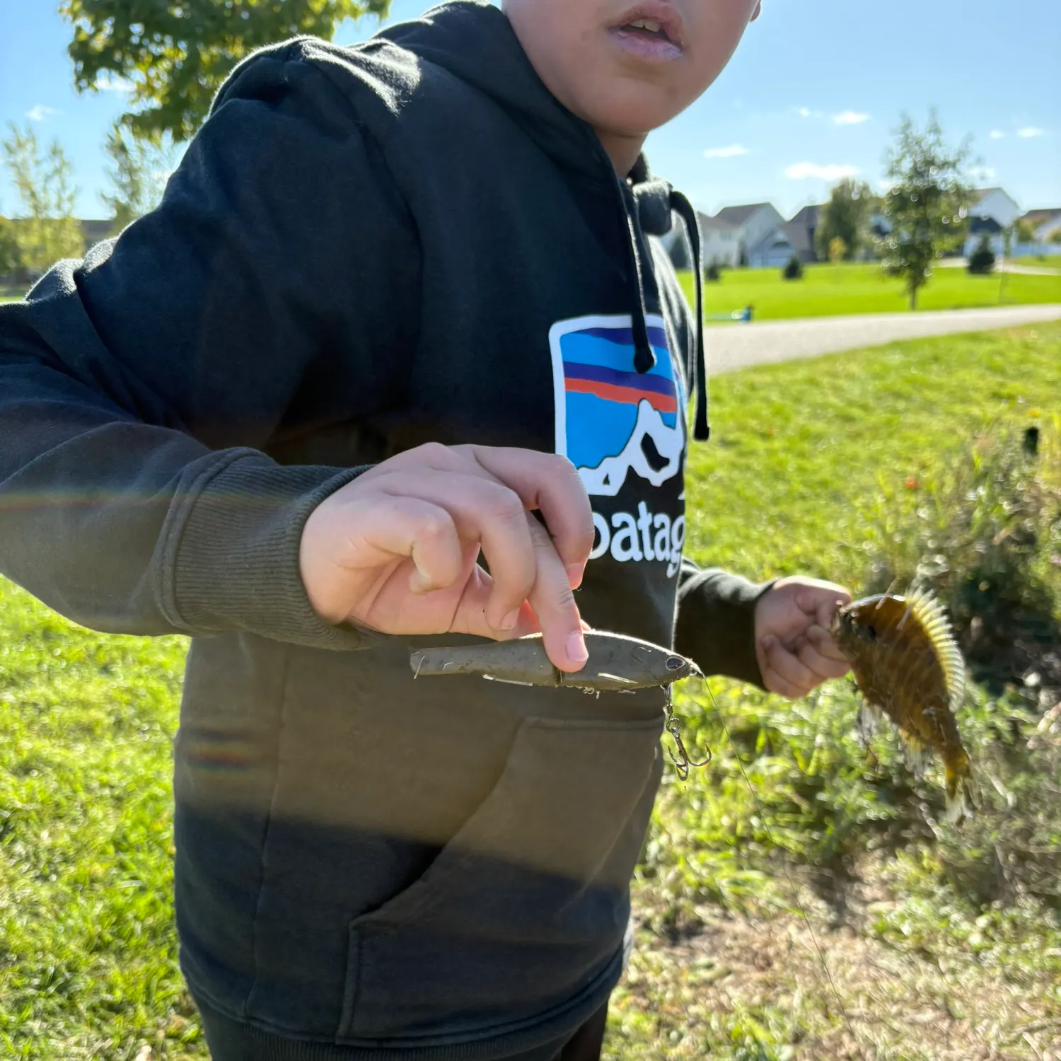 Common logperch caught on Fishbrain