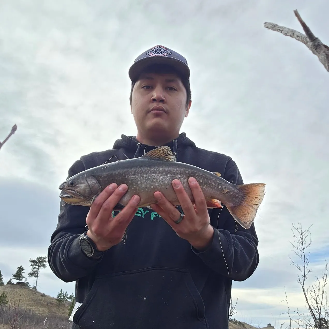 The most recent Brook trout catches on Fishbrain
