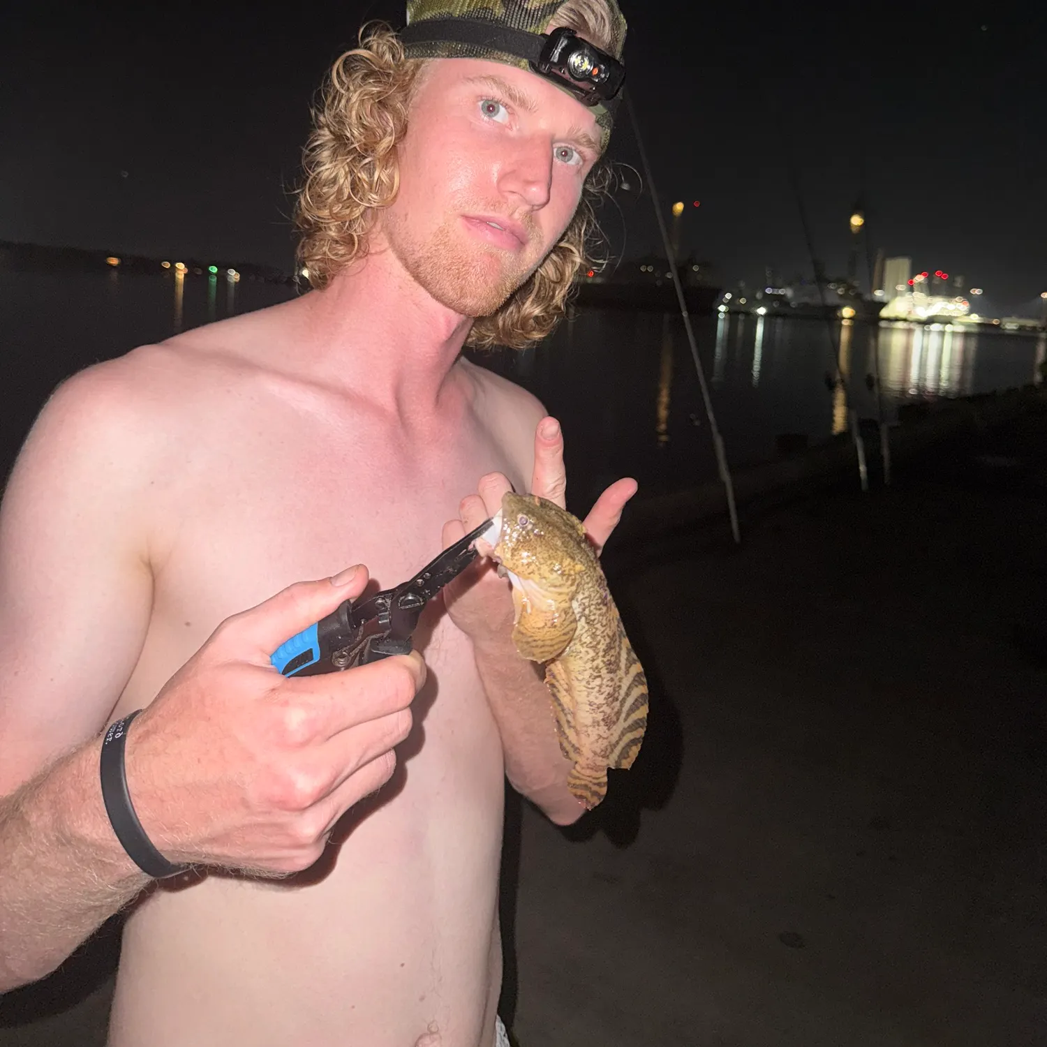 Oyster toadfish caught on Fishbrain