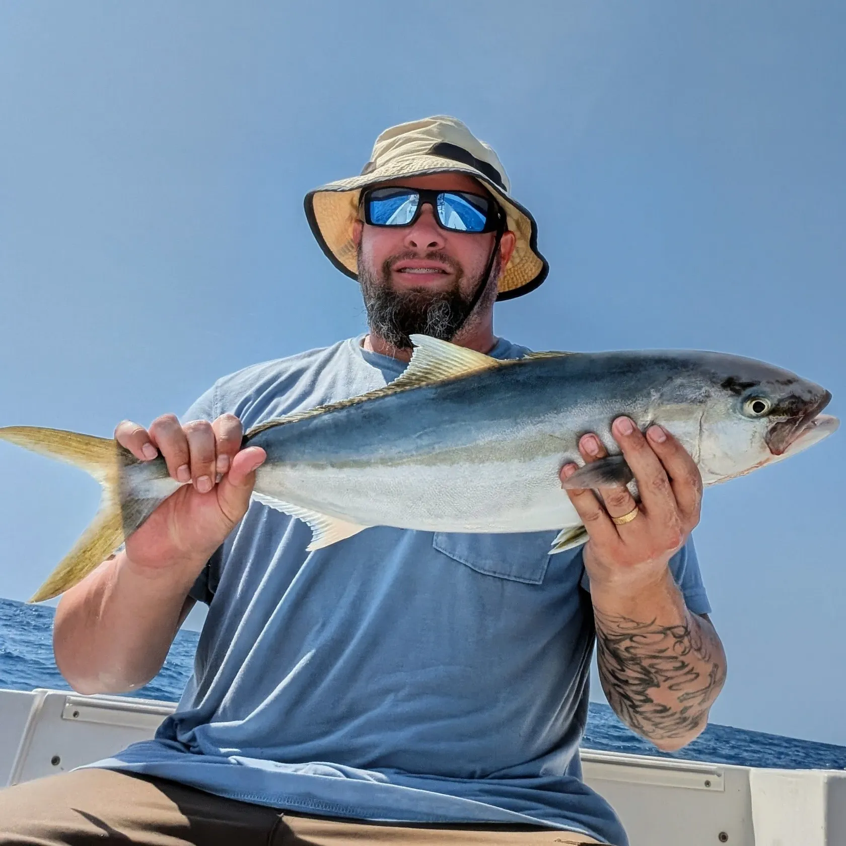 The most recent Southern yellowtail amberjack catches on Fishbrain