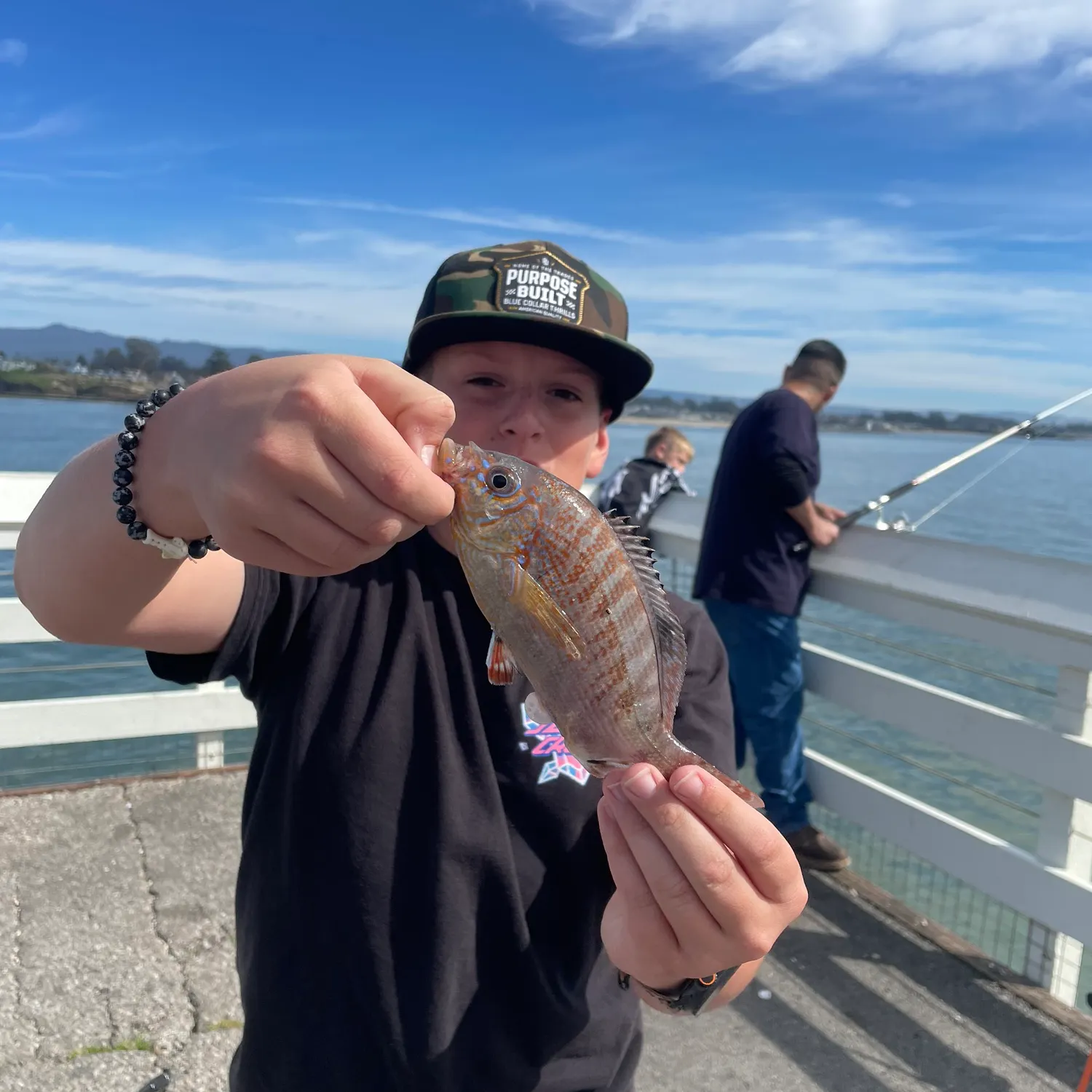 The most recent Rainbow surfperch catches on Fishbrain