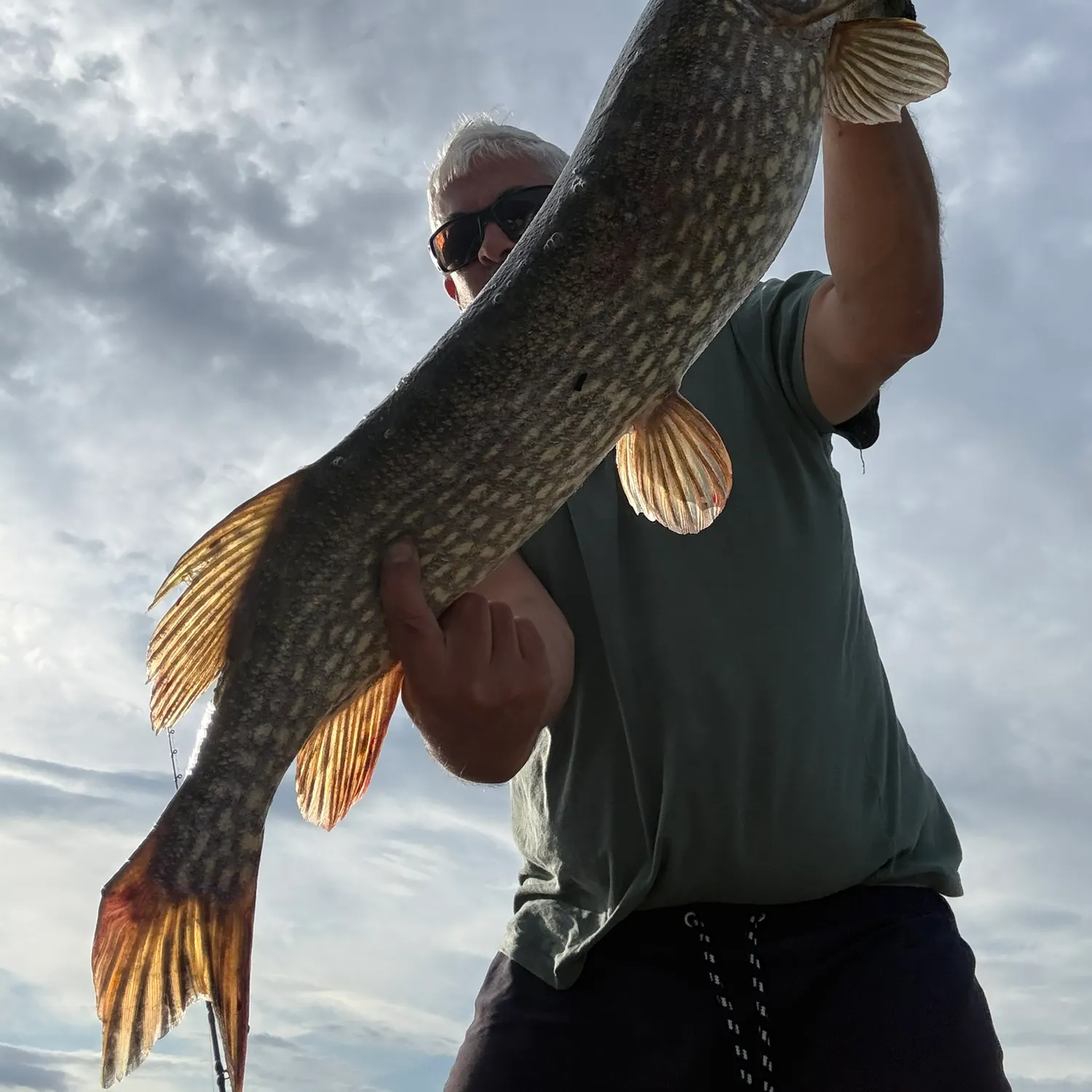 Northern pike caught on Fishbrain