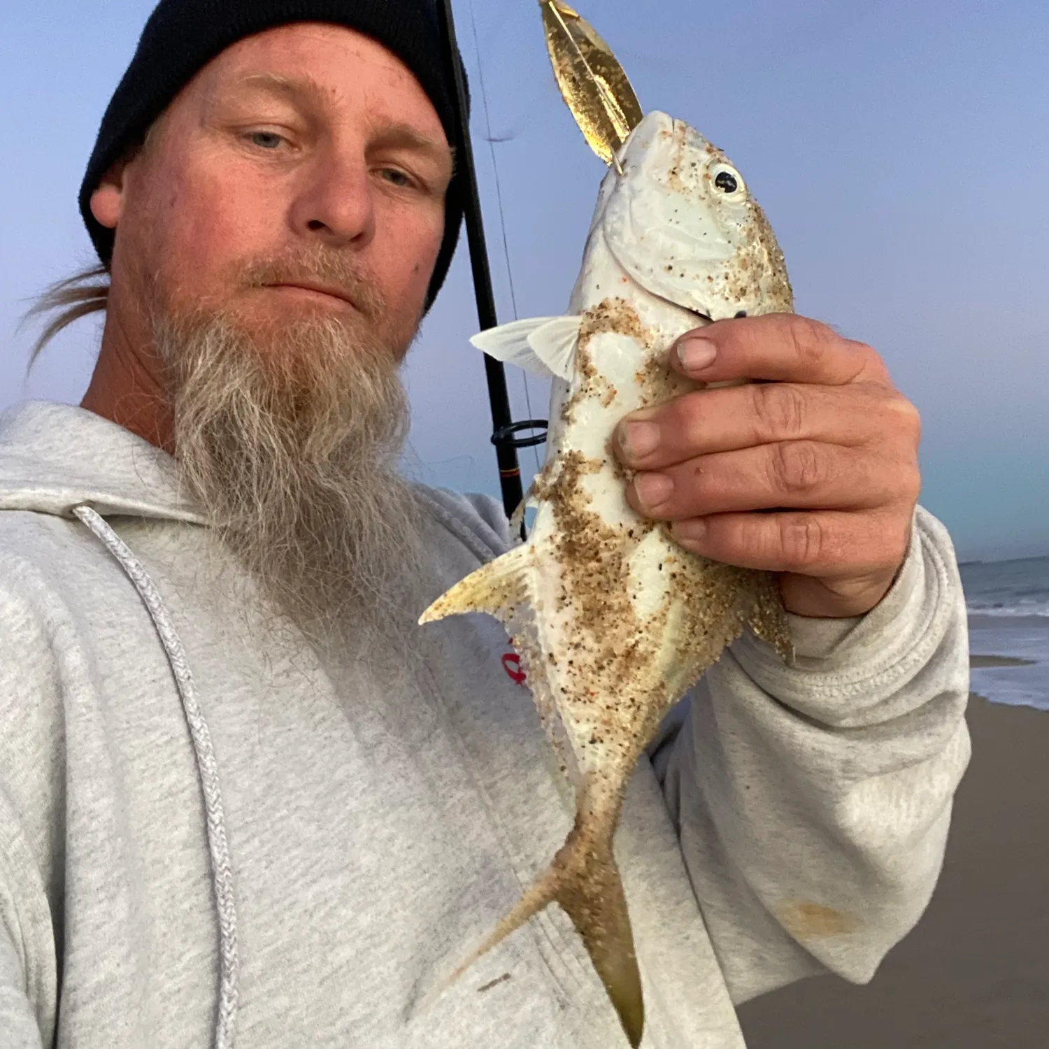 The most recent Crevalle jack catches on Fishbrain