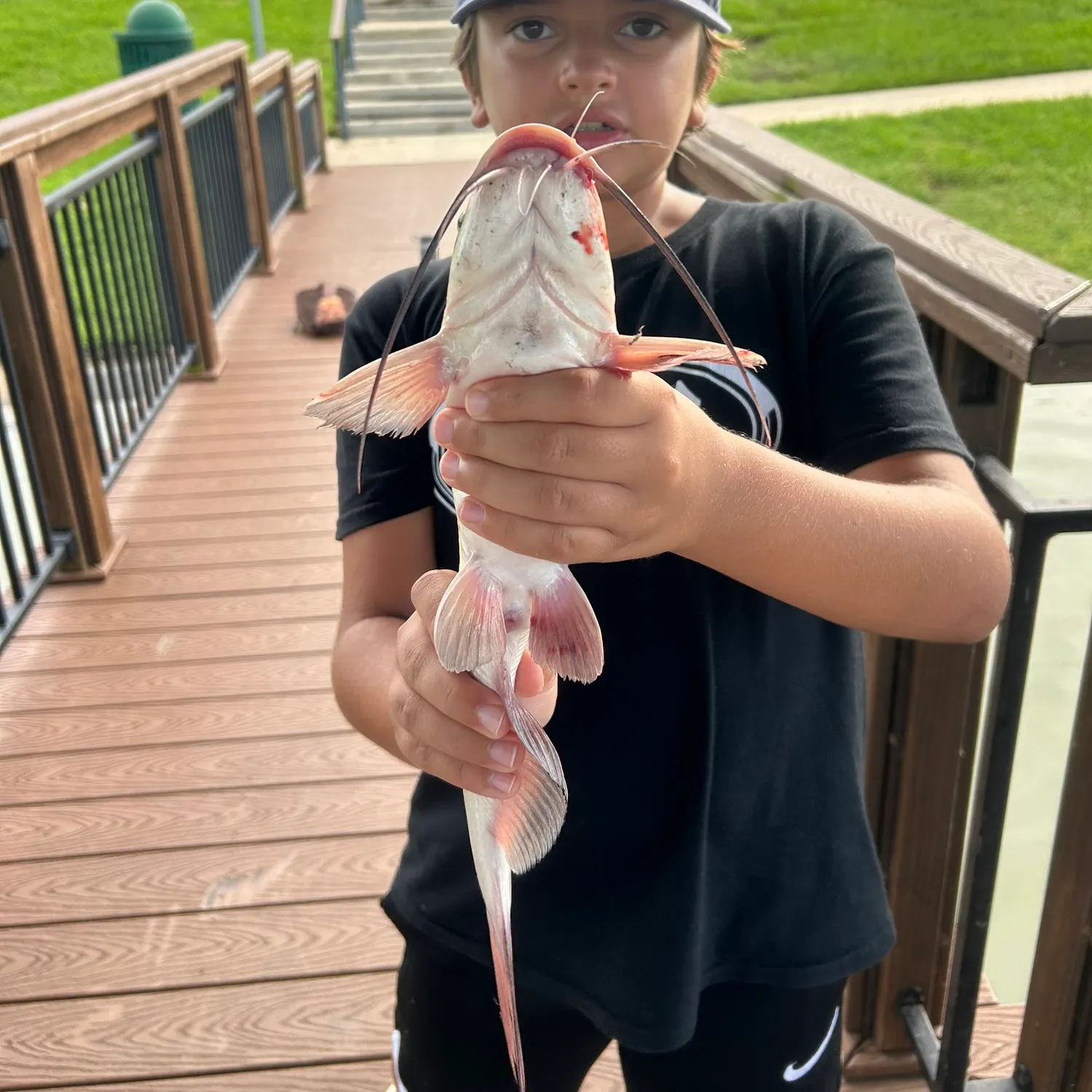 Channel catfish caught on Fishbrain