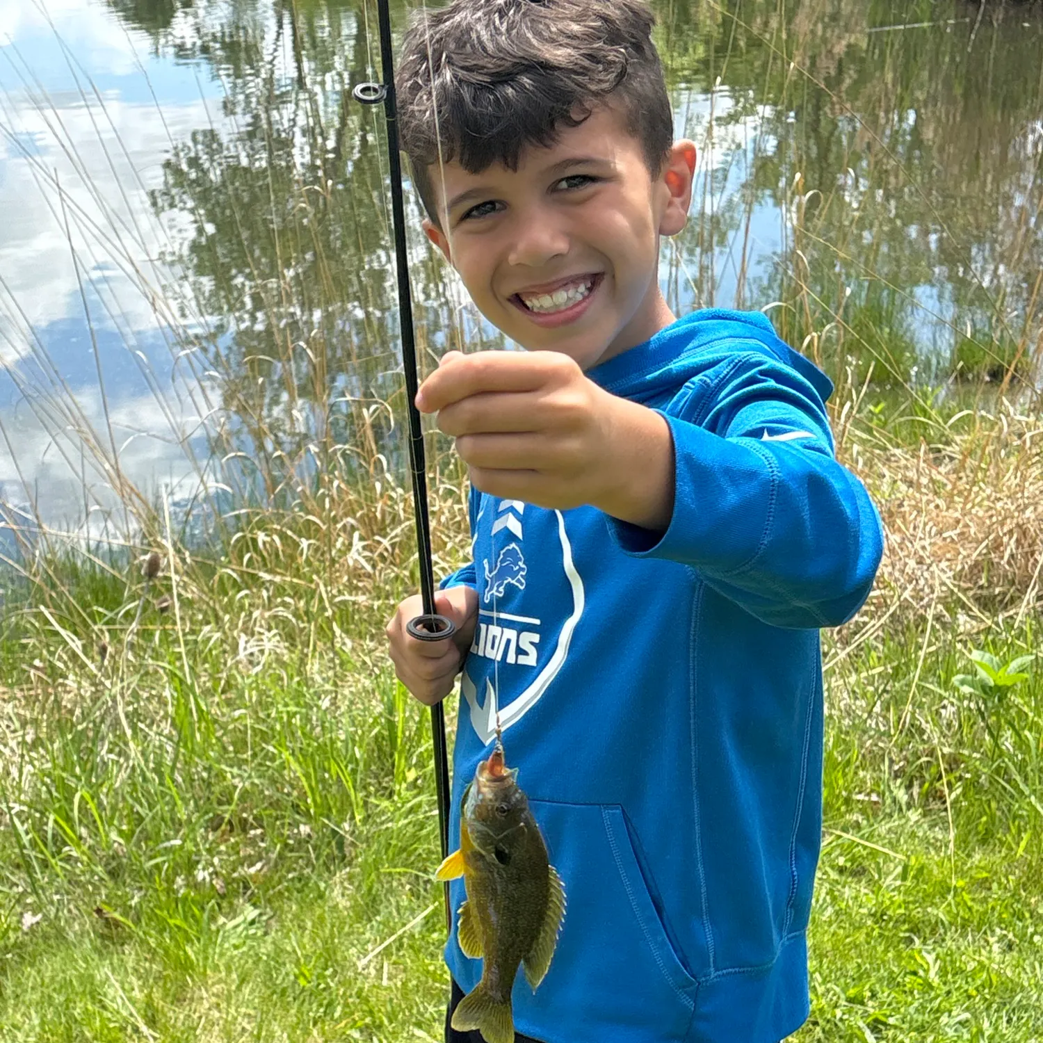 Green sunfish caught on Fishbrain