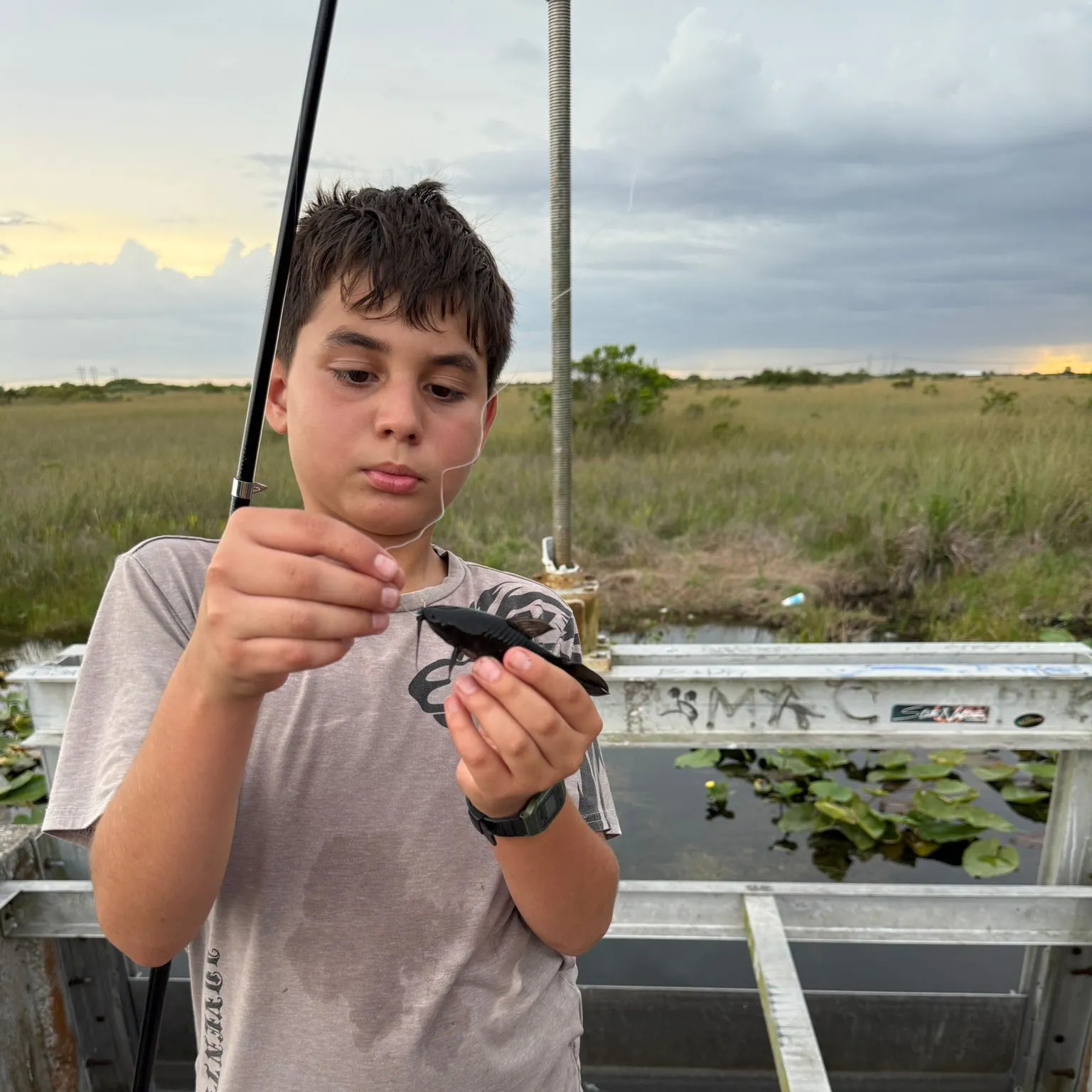 The most recent Brown Hoplo catches on Fishbrain