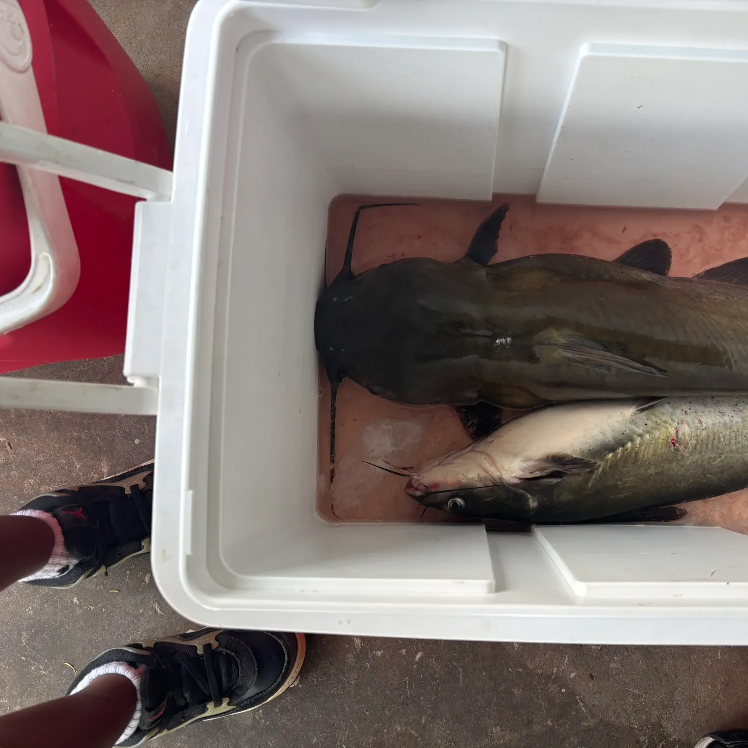 catch
