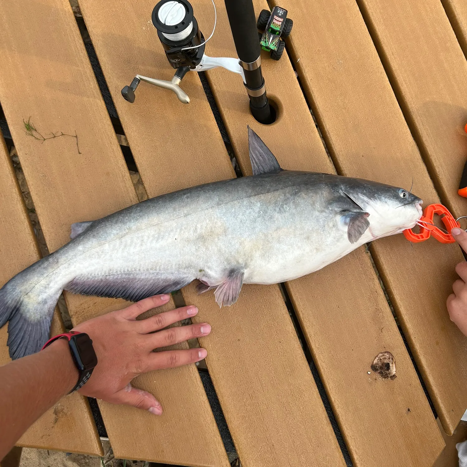 catch