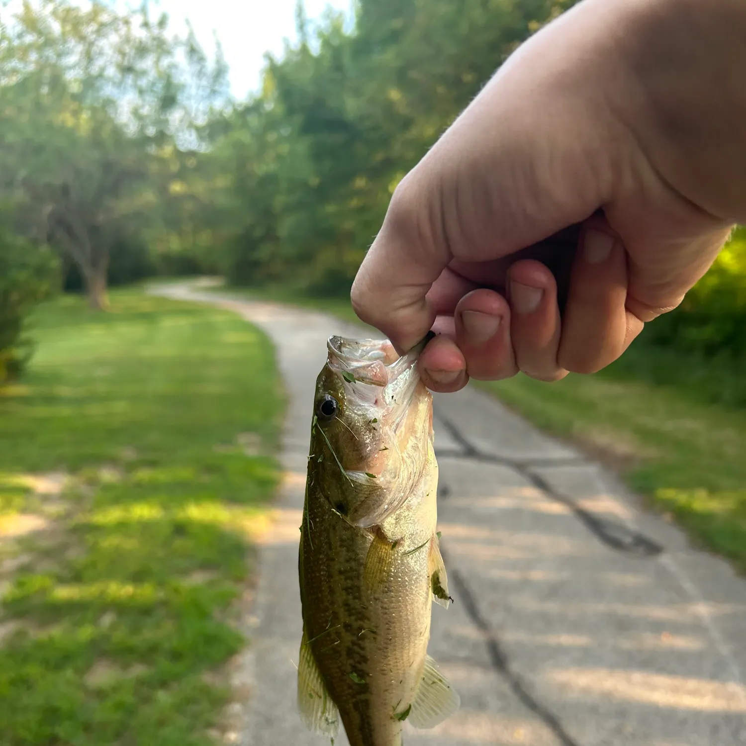 catch